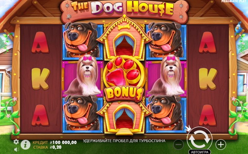 슬롯 도그하우스 — 귀여운 강아지들과 함께하는 슬롯 게임 가이드