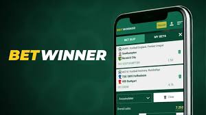 How to Deposit at BetWinner A Comprehensive Guide -607202124